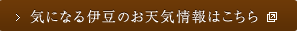 気になるお天気情報はこちら