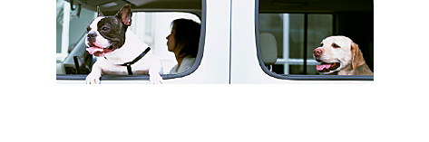 お車でお越しの方