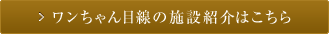 ワンちゃん目線の施設紹介はこちら