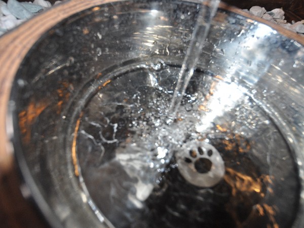 水のお皿も自動排水機能っていうのが付いてて、<br>いつでも綺麗な御水が飲めるのよ♪
