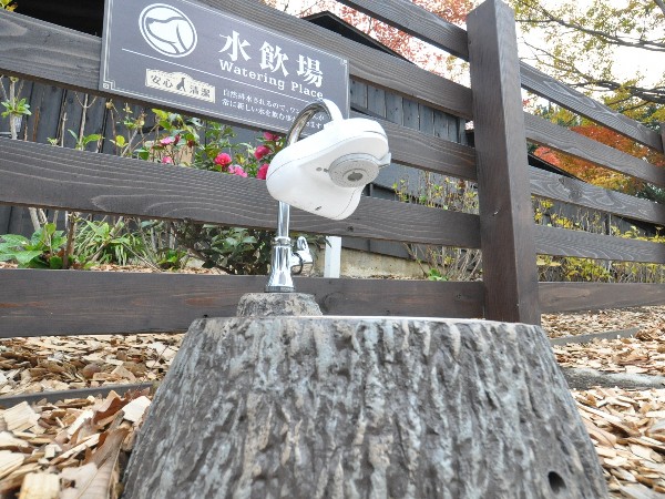 ここにも水飲み場があるの・・もちろん浄水器付♪<br>気が利いてるのよワン♪