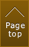 Pagetop