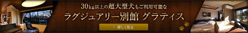 グラティス NEWOPEN