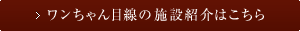 ワンちゃん目線の施設紹介はこちら