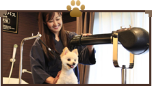 ワンちゃんグルーミングコーナー