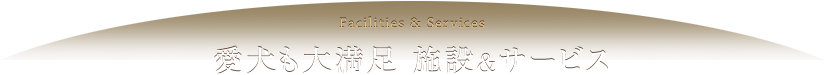愛犬も大満足 施設&サービス