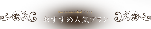 おすすめ人気プラン