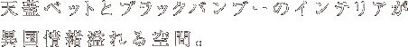 天蓋ベッドとブラックバンブーのインテリアが異国情緒溢れる空間。