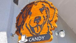 Cafe CANDY（カフェ キャンディー）