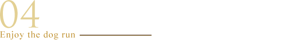 04雨の日でも楽しめる充実のドッグラン