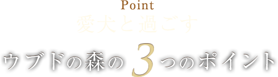 愛犬と過ごすウブドの森の3つのポイント