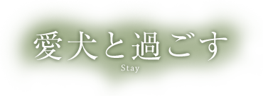 愛犬と過ごす